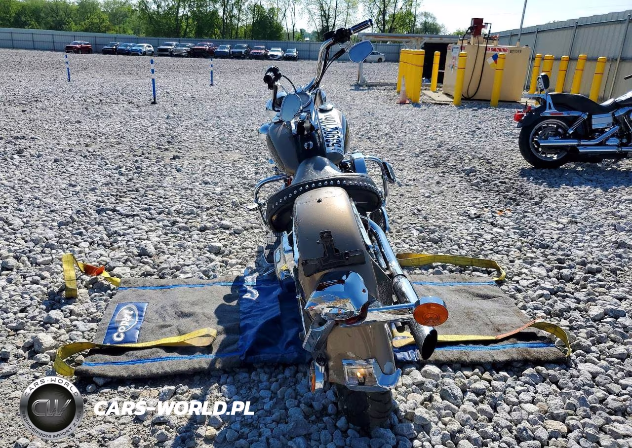 2005 Harley Davidson Flstci VIN:1HD1BWB175Y042552 - 4