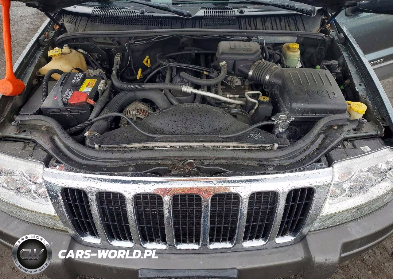 2002 Jeep Grand Cherokee Laredo VIN:1J4GW48SX2C168394 - 11