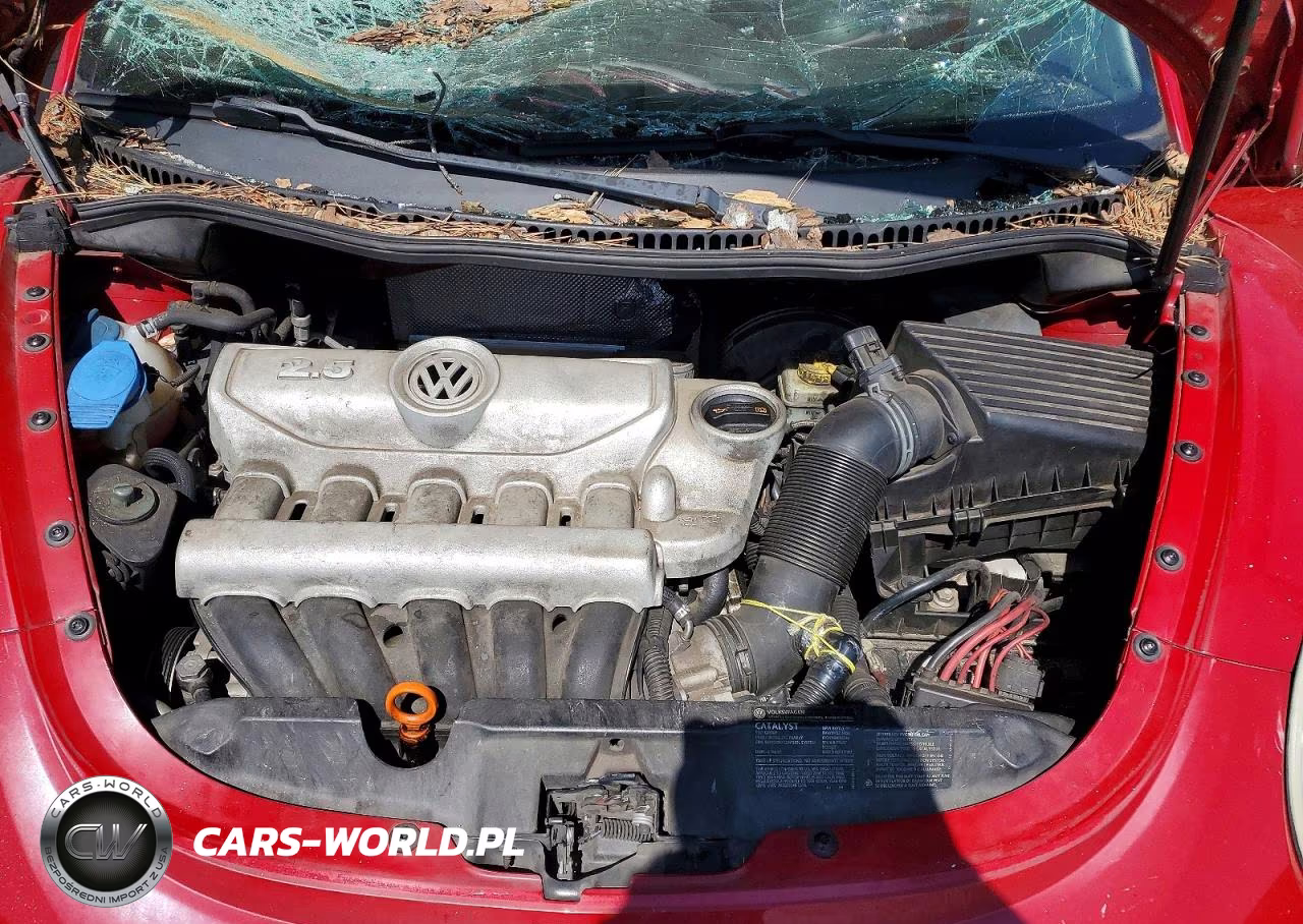 2008 Volkswagen New Beetle S VIN:3VWRW31C88M519528 - 11
