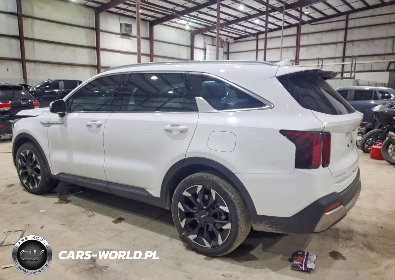 2024 Kia Sorento Ex VIN:5XYRH4JF8RG304744 - 2