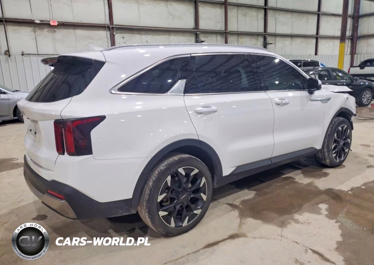 2024 Kia Sorento Ex VIN:5XYRH4JF8RG304744 - 3