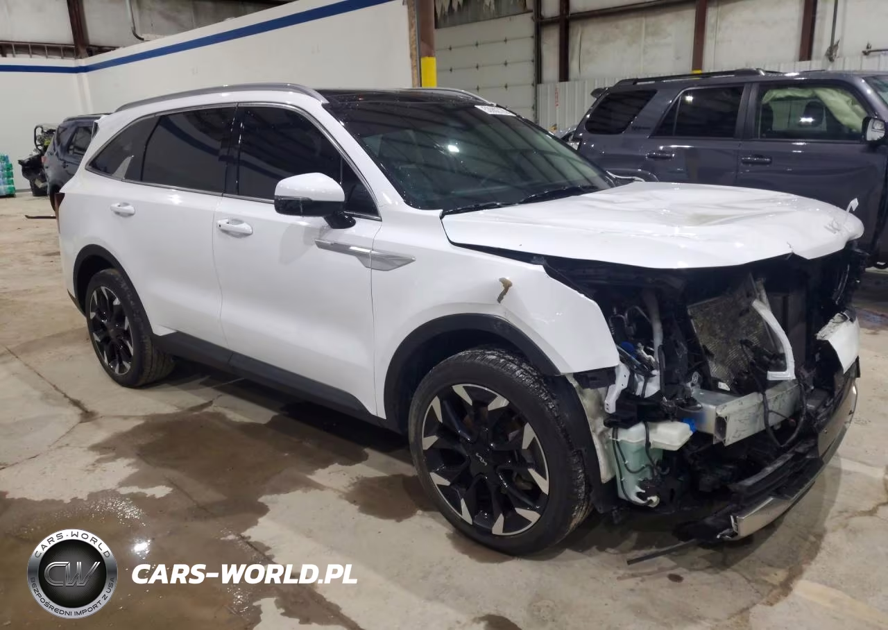 2024 Kia Sorento Ex VIN:5XYRH4JF8RG304744 - 4