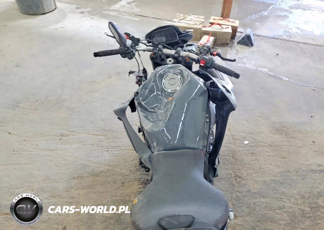 2023 Yamaha Mtn1000 VIN:JYARN79E4PA001104 - 6