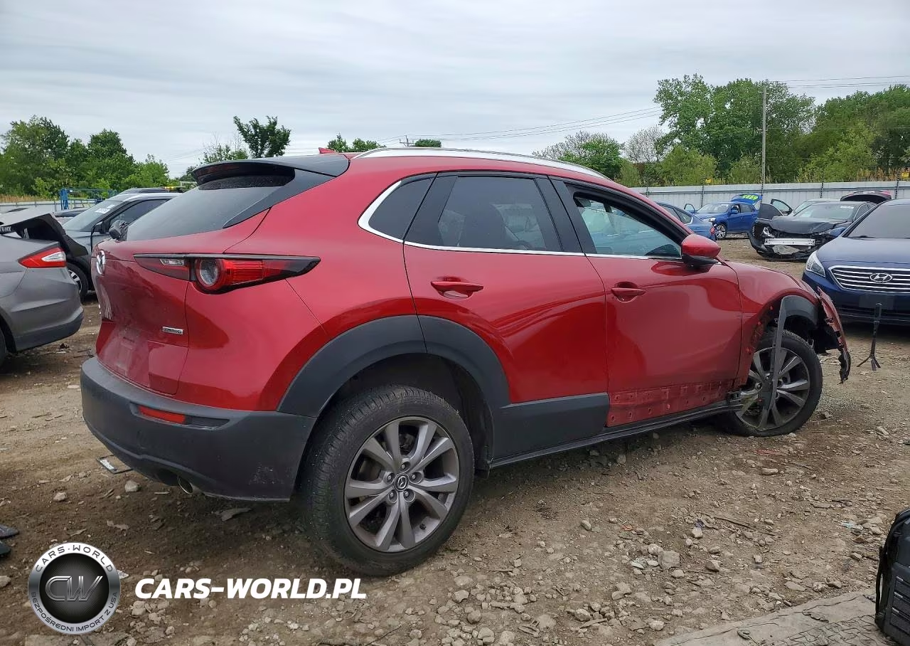 2021 Mazda Cx-30 Premium VIN:3MVDMBDM4MM229216 - 3