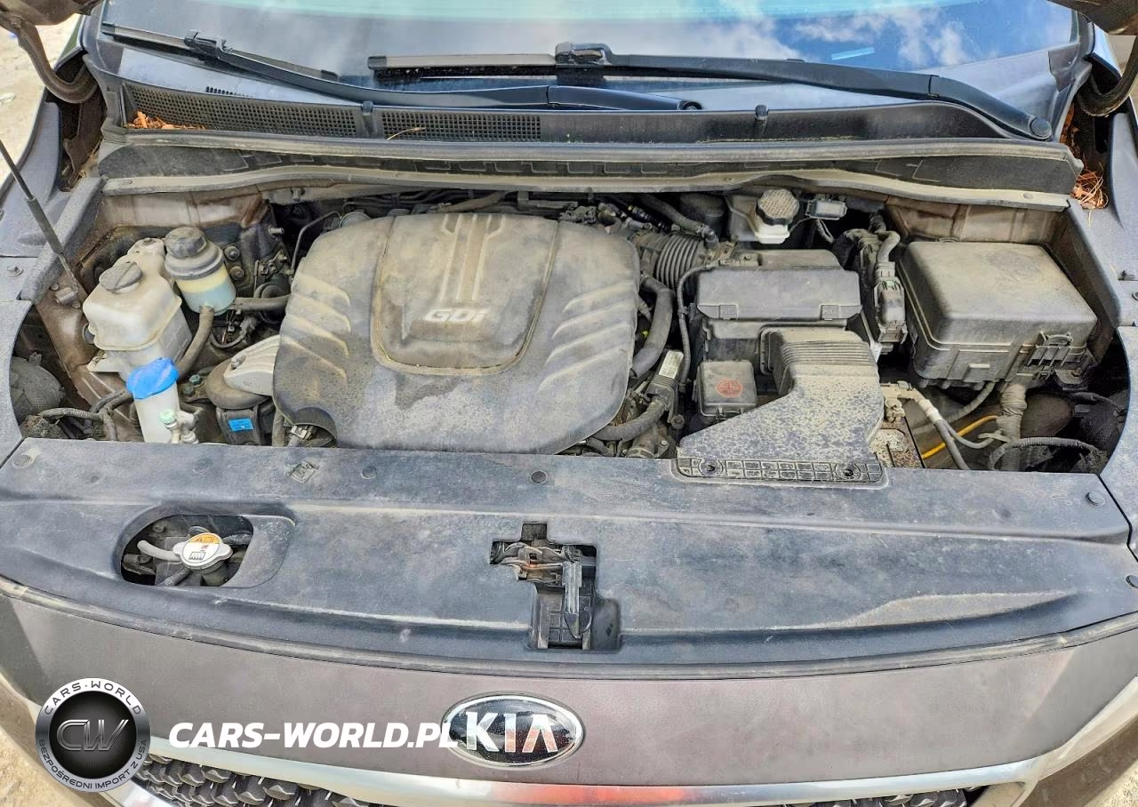 2016 Kia Sedona Lx VIN:KNDMB5C10G6165972 - 12