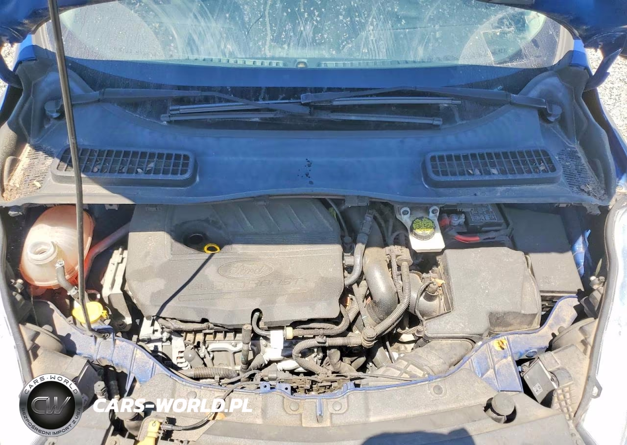 2017 Ford Escape Titanium VIN:1FMCU0JD0HUC13274 - 12