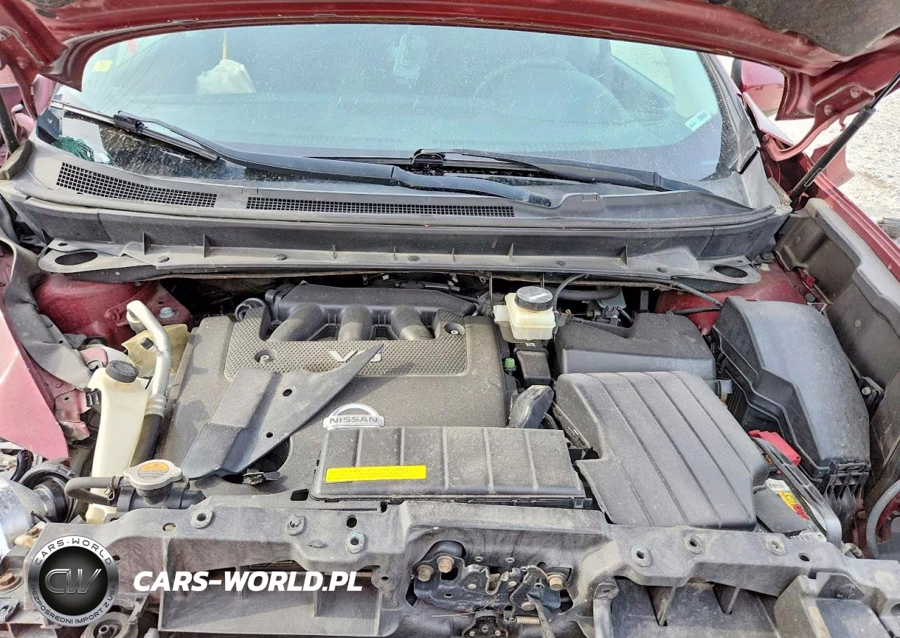 2009 Nissan Murano S VIN:JN8AZ18U19W017573 - 12