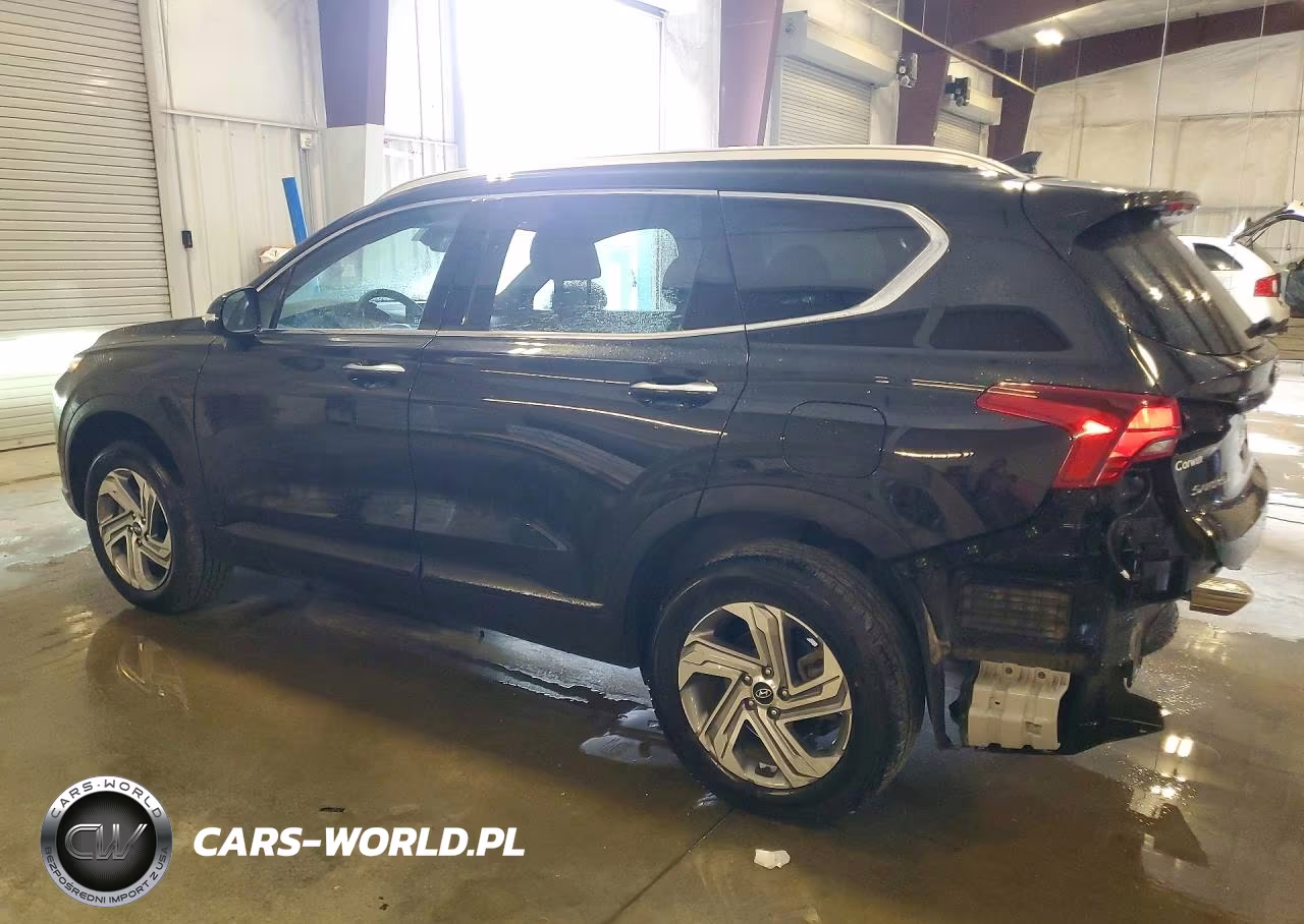 2023 Hyundai Santa Fe Sel VIN:5NMS2DAJ3PH528689 - 2
