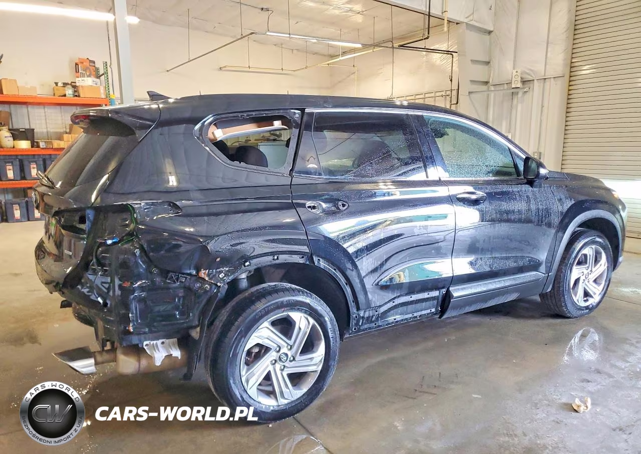 2023 Hyundai Santa Fe Sel VIN:5NMS2DAJ3PH528689 - 3