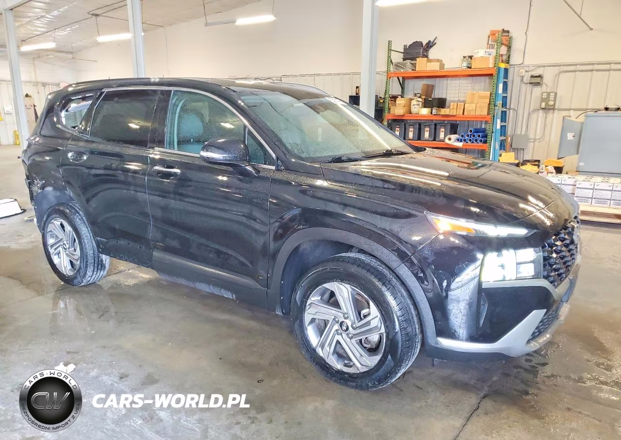 2023 Hyundai Santa Fe Sel VIN:5NMS2DAJ3PH528689 - 4