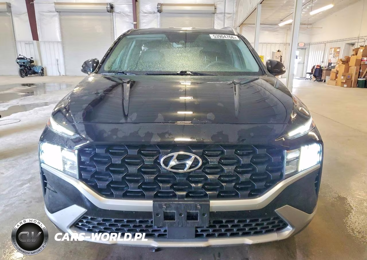 2023 Hyundai Santa Fe Sel VIN:5NMS2DAJ3PH528689 - 5