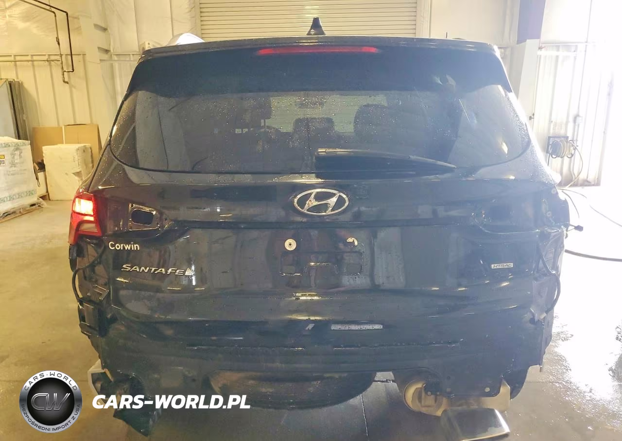2023 Hyundai Santa Fe Sel VIN:5NMS2DAJ3PH528689 - 6