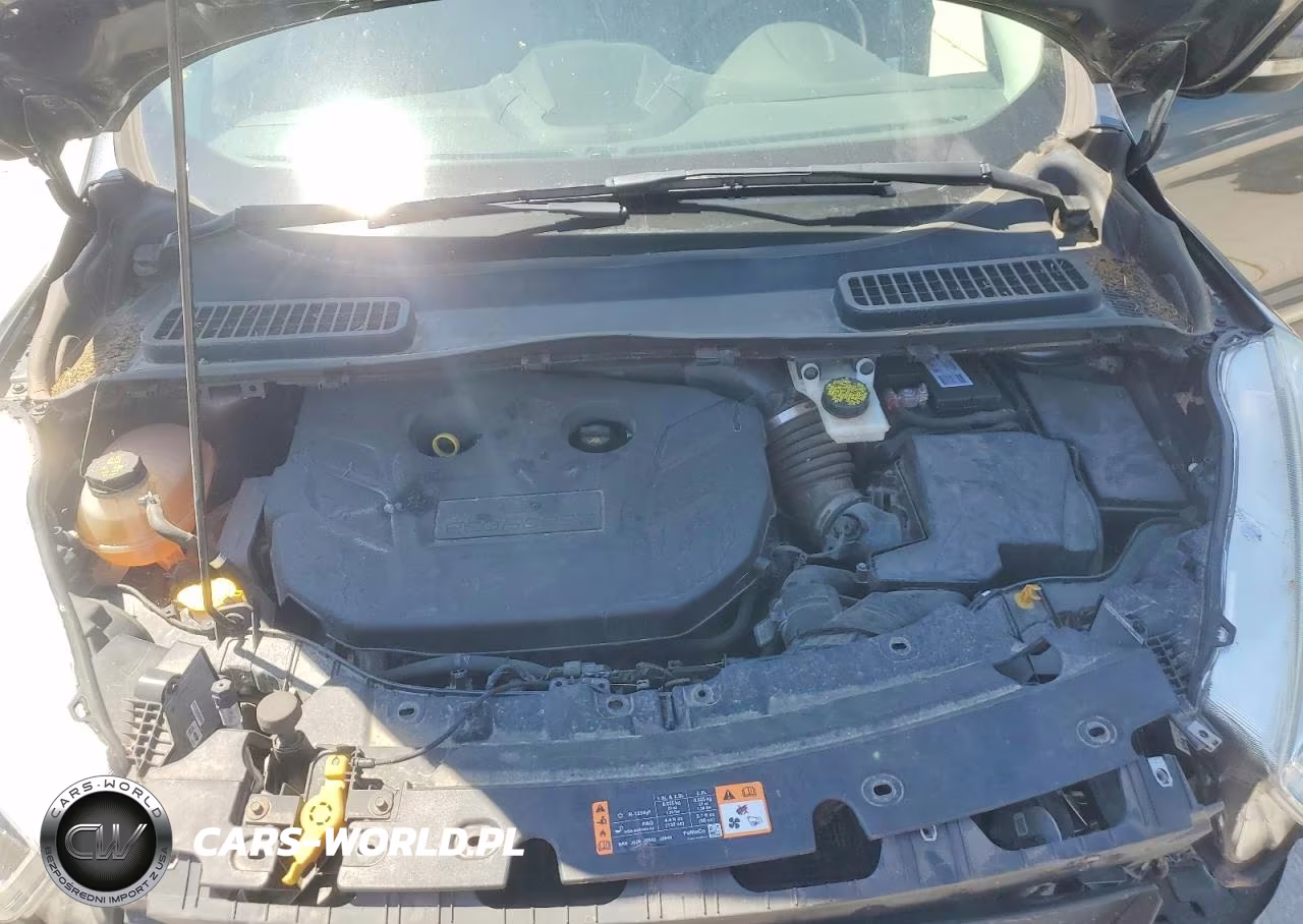 2019 Ford Escape Titanium VIN:1FMCU0J93KUA84613 - 11