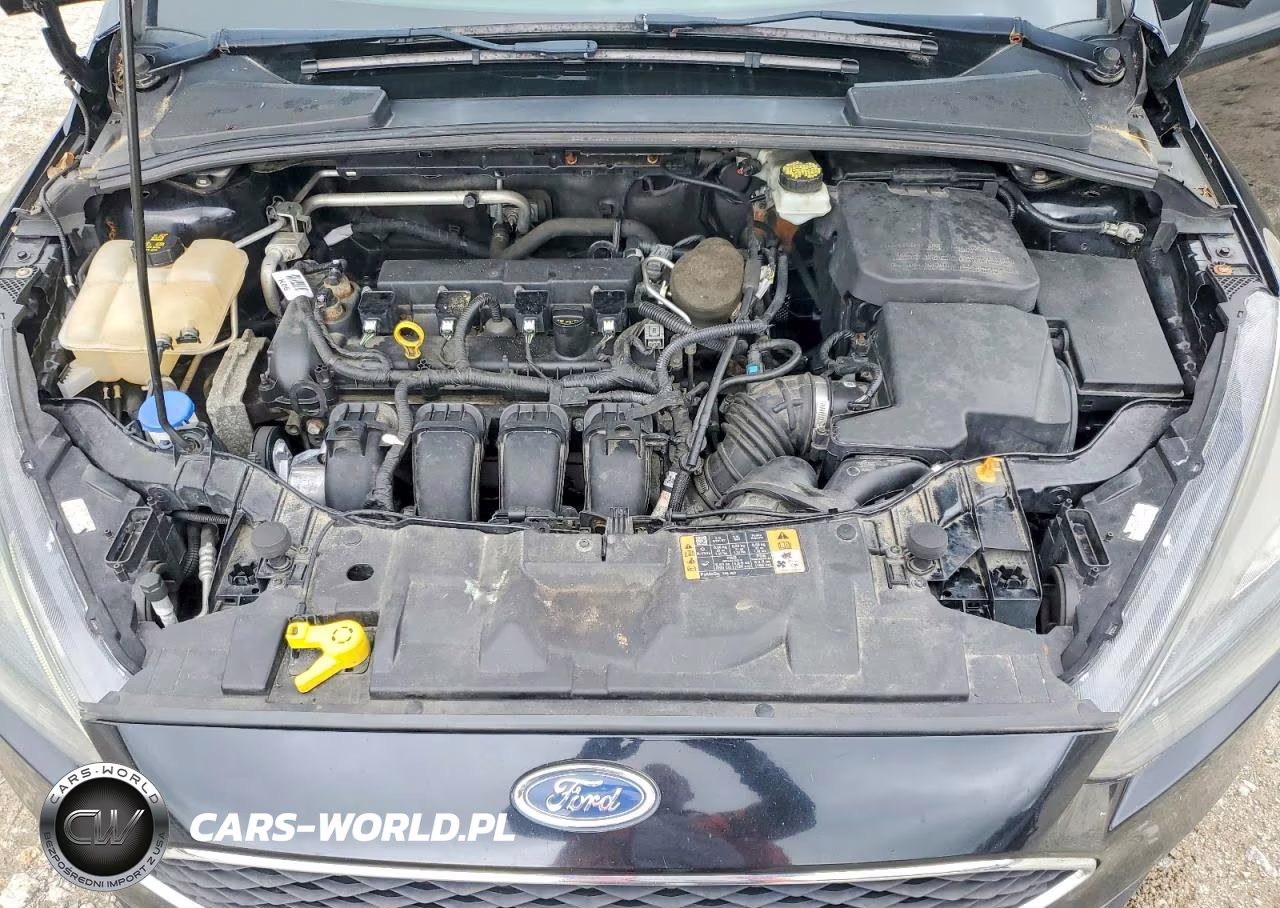 2016 Ford Focus Se VIN:1FADP3K22GL295419 - 11