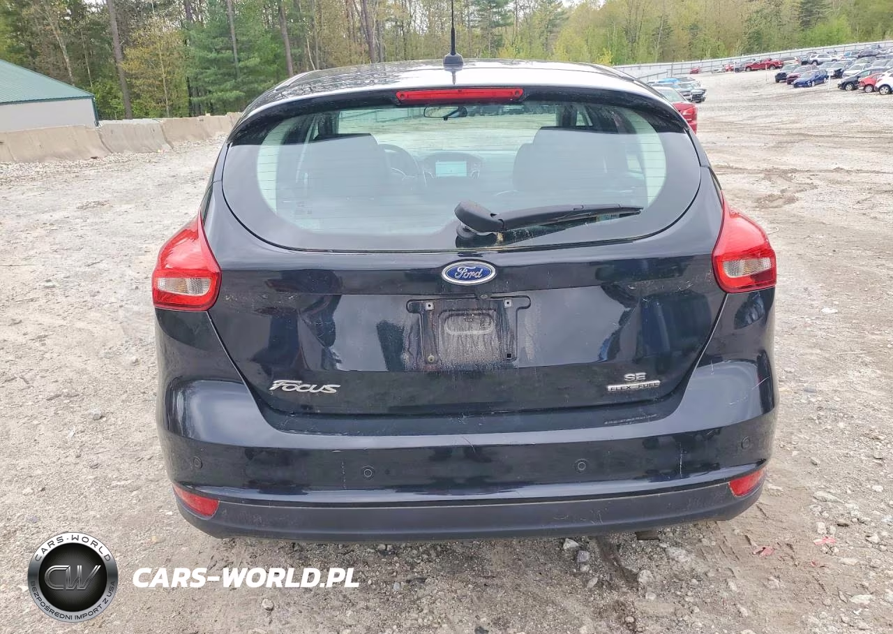 2016 Ford Focus Se VIN:1FADP3K22GL295419 - 6