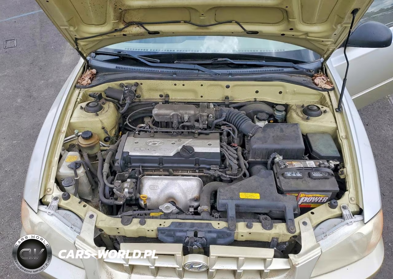2002 Hyundai Accent Gl VIN:KMHCG45C42U389901 - 11