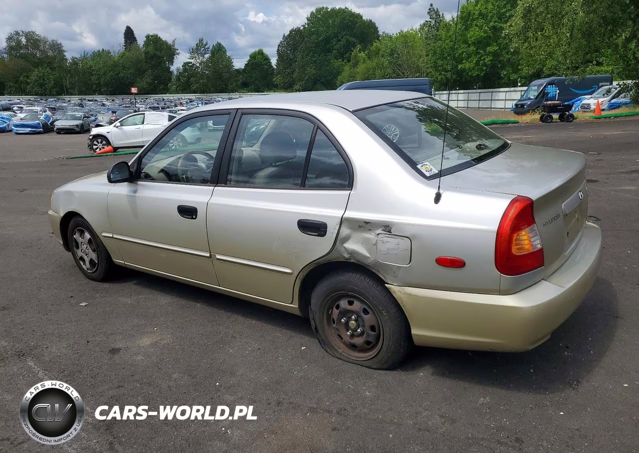 2002 Hyundai Accent Gl VIN:KMHCG45C42U389901 - 2