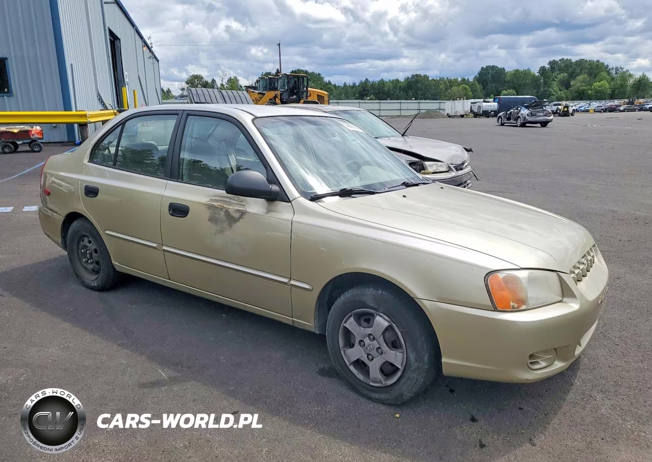 2002 Hyundai Accent Gl VIN:KMHCG45C42U389901 - 4