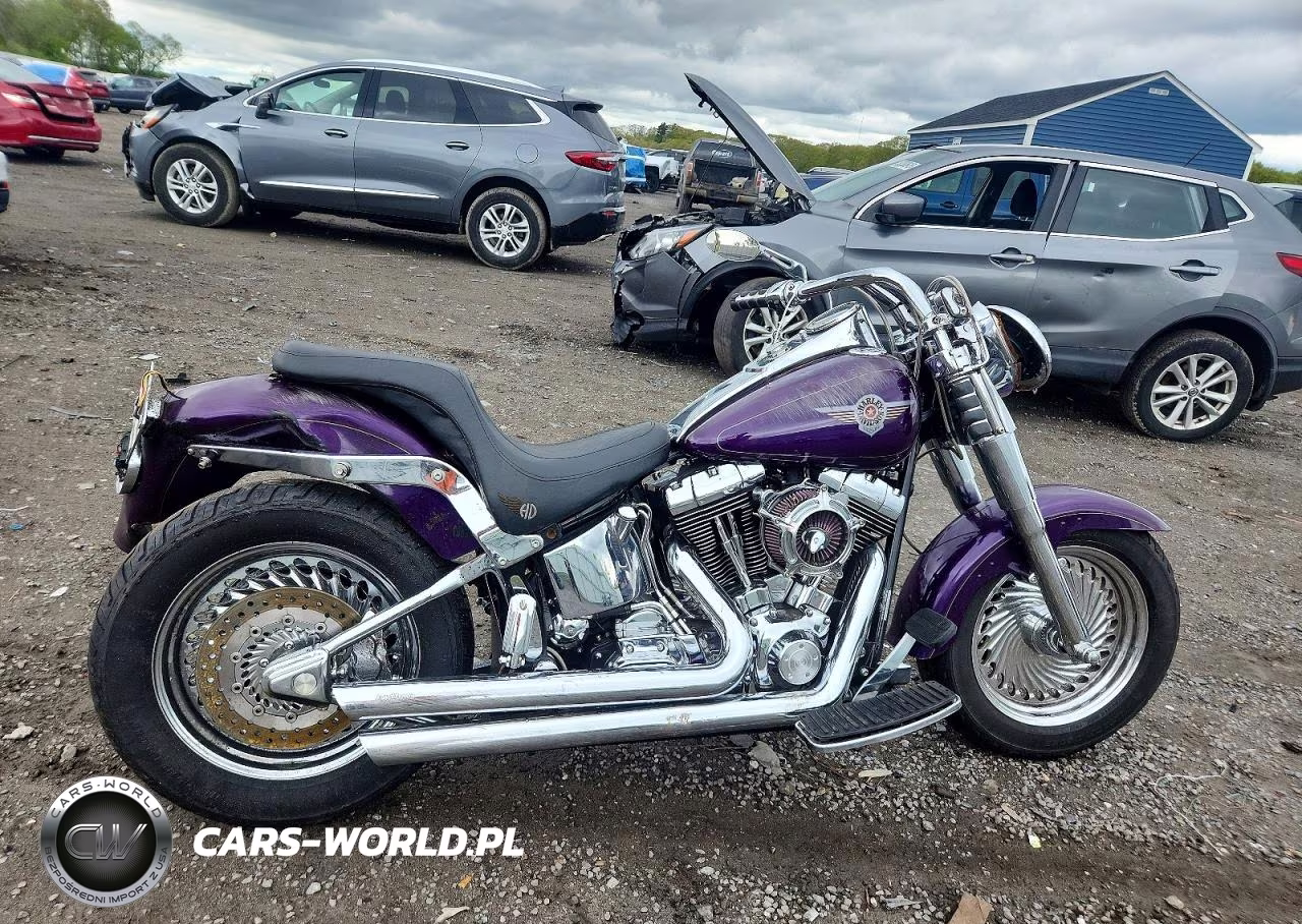 2002 Harley-Davidson Flstfi