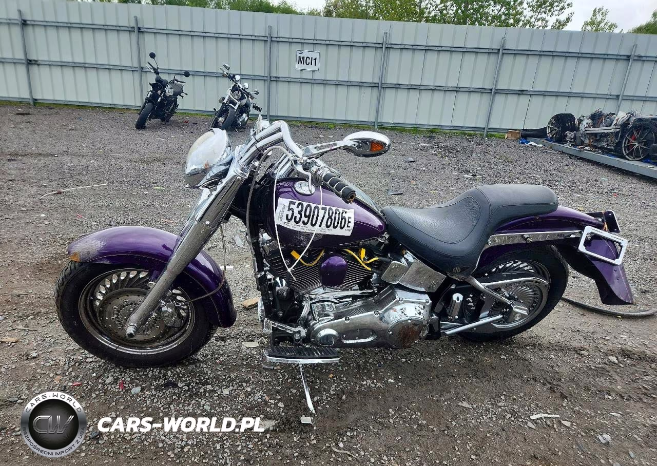 2002 Harley-Davidson Flstfi VIN:1HD1BXB1X2Y057998 - 3