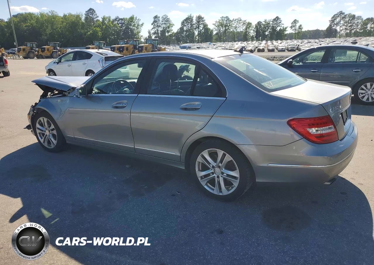 2014 Mercedes-Benz C 250 VIN:WDDGF4HB8EA924199 - 2