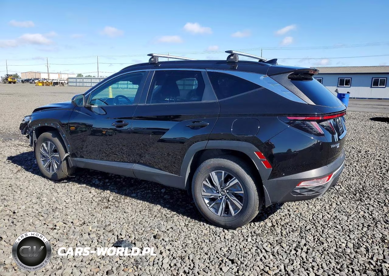 2023 Hyundai Tucson Blue VIN:KM8JBCA18PU090438 - 2