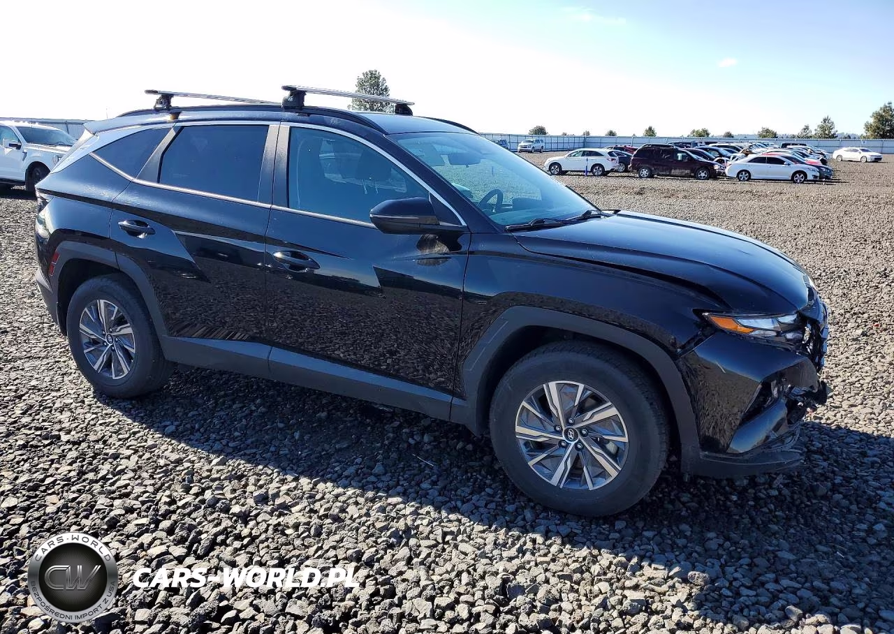2023 Hyundai Tucson Blue VIN:KM8JBCA18PU090438 - 4