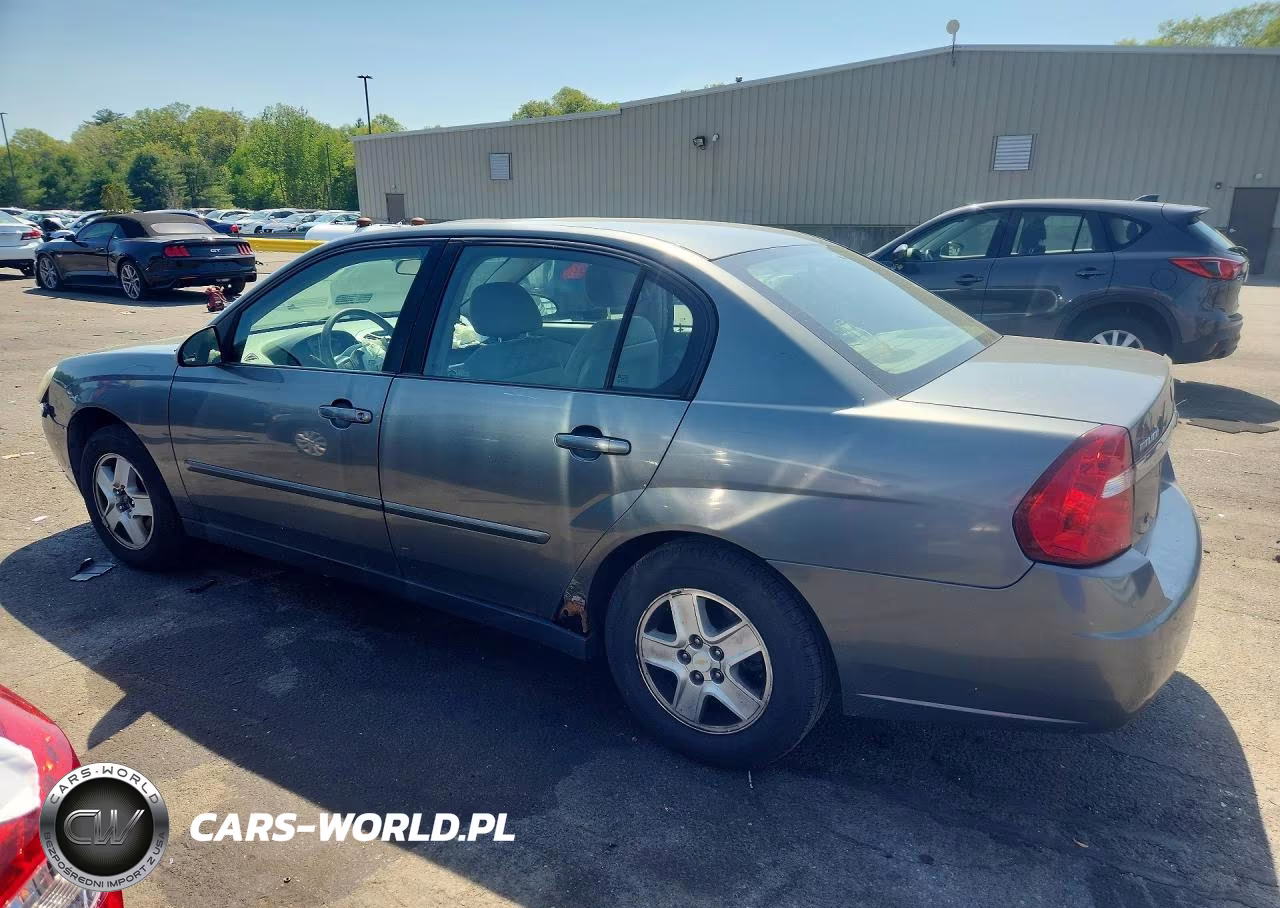 2005 Chevrolet Malibu Ls VIN:1G1ZT54865F241313 - 2