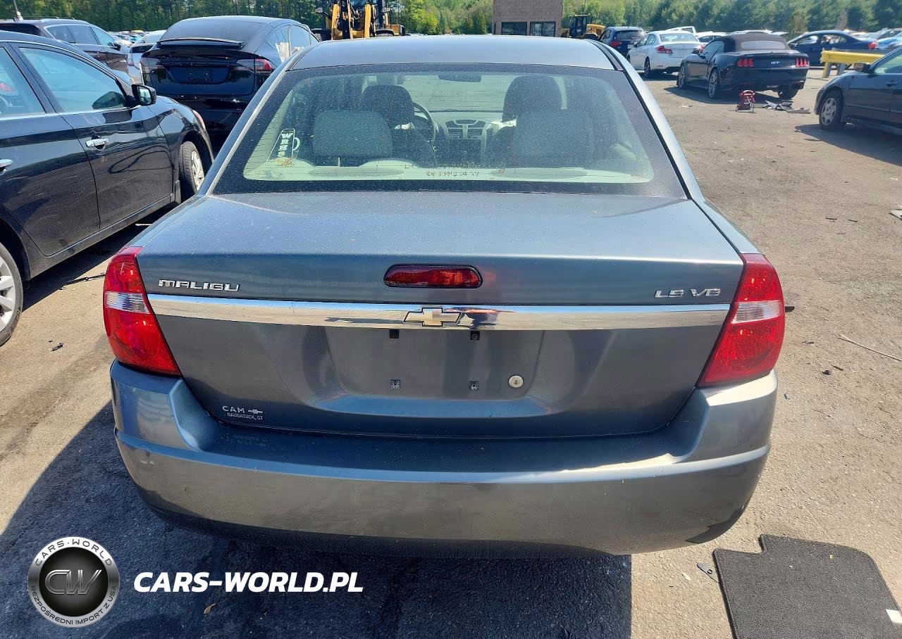 2005 Chevrolet Malibu Ls VIN:1G1ZT54865F241313 - 6
