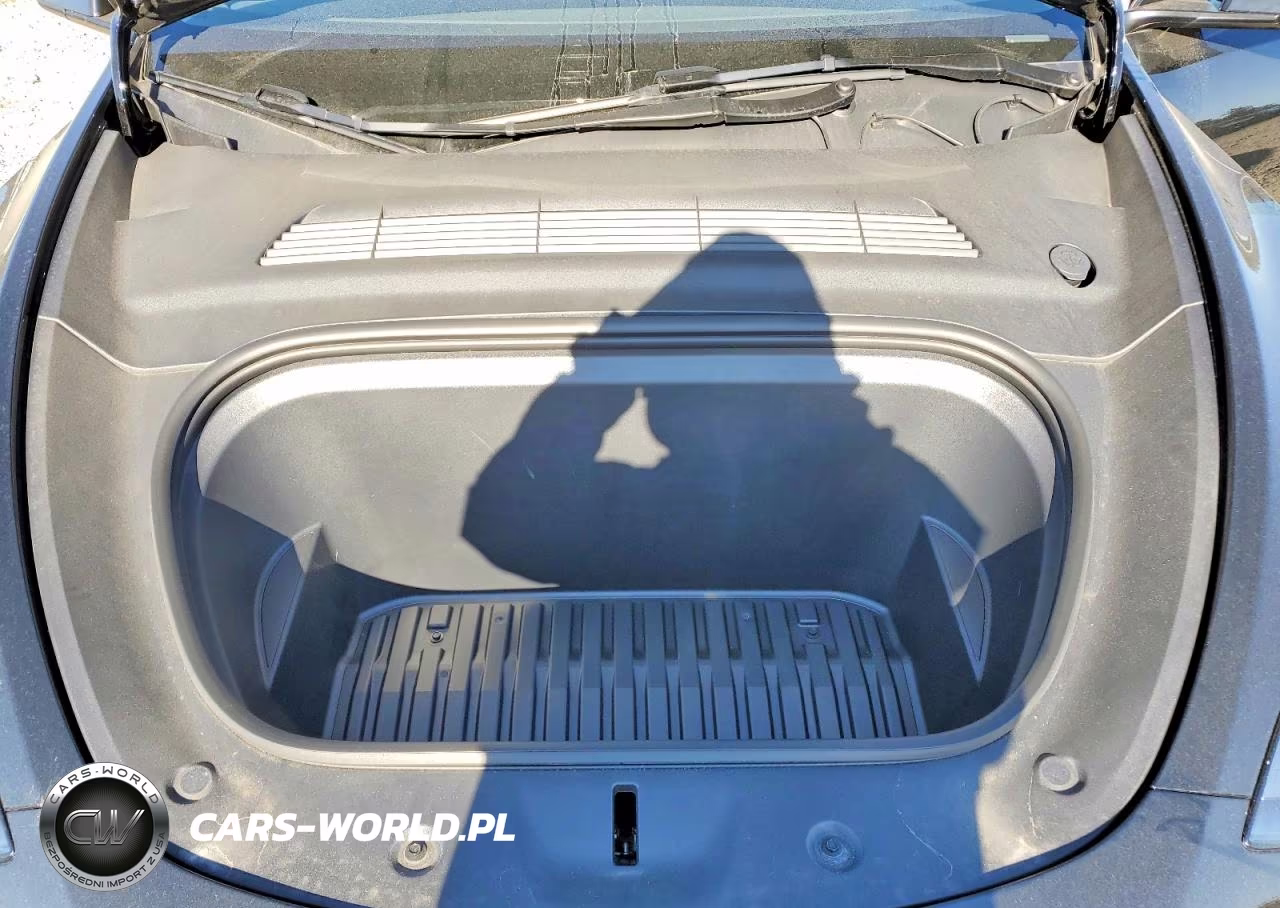 2024 Tesla Model Y VIN:7SAYGDED8RF086063 - 11