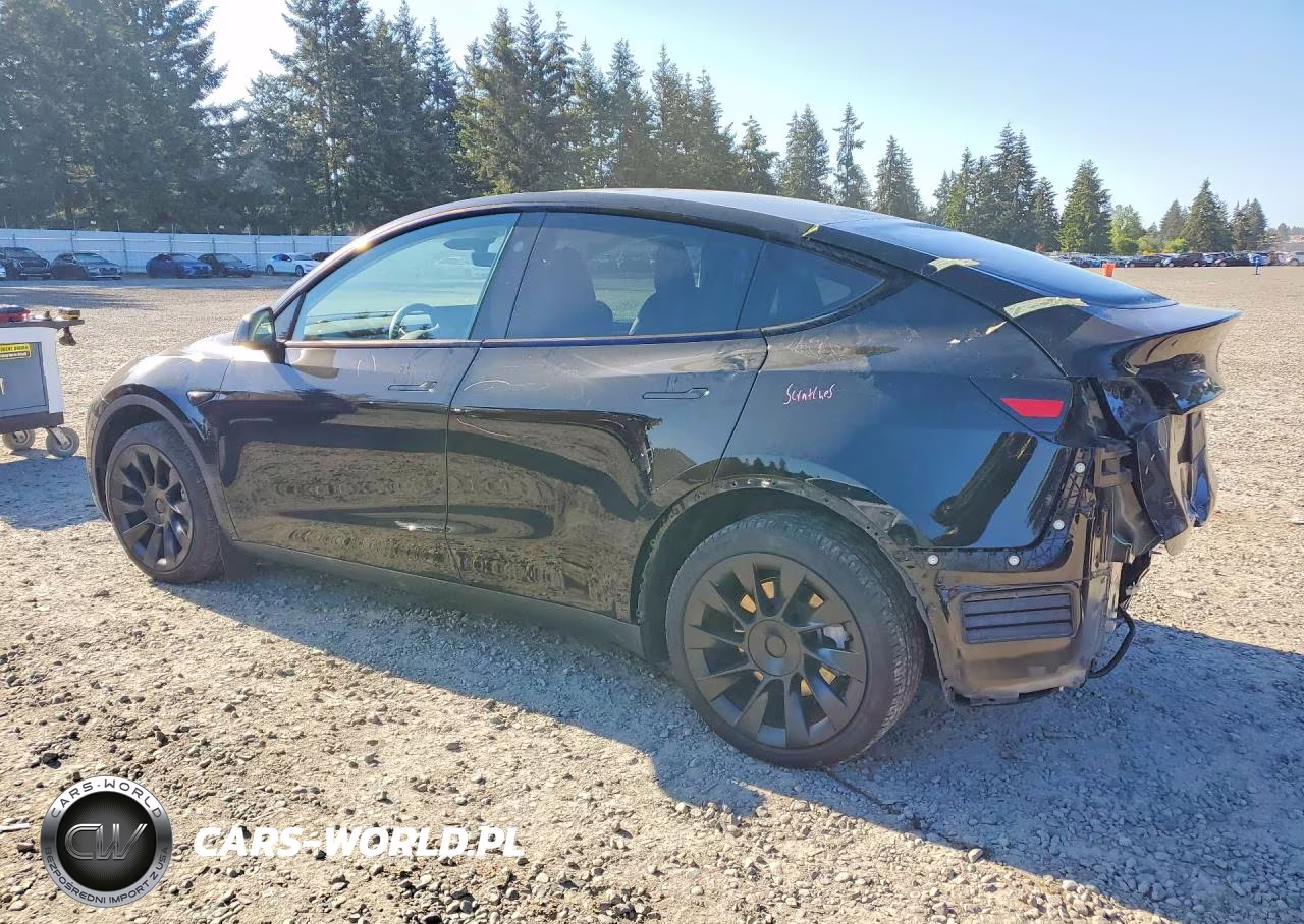 2024 Tesla Model Y VIN:7SAYGDED8RF086063 - 2