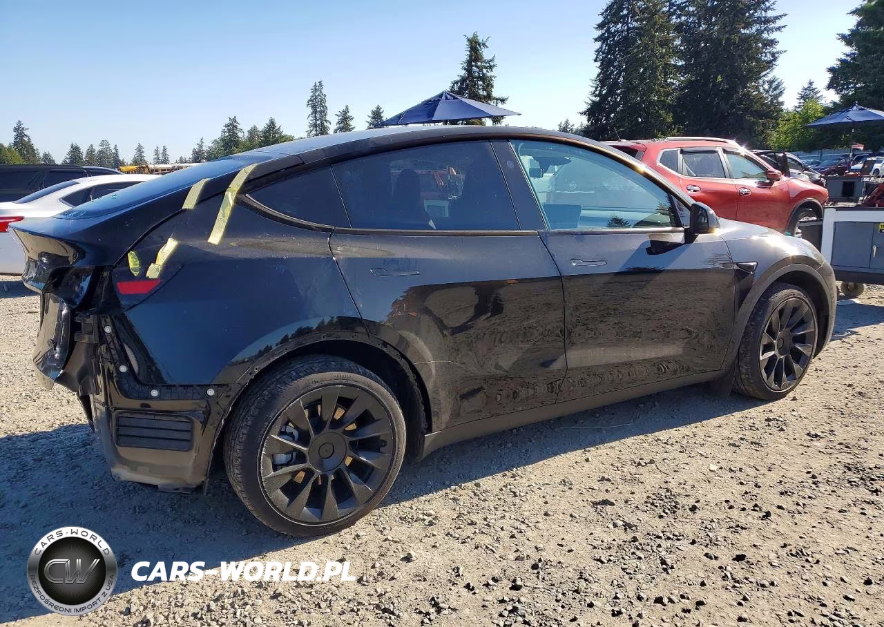 2024 Tesla Model Y VIN:7SAYGDED8RF086063 - 3