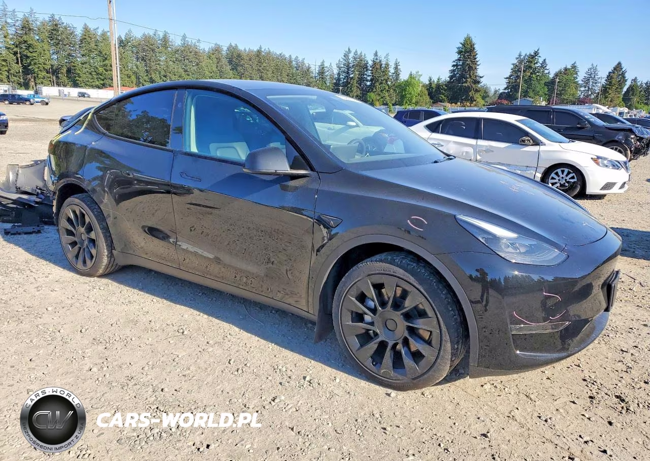 2024 Tesla Model Y VIN:7SAYGDED8RF086063 - 4