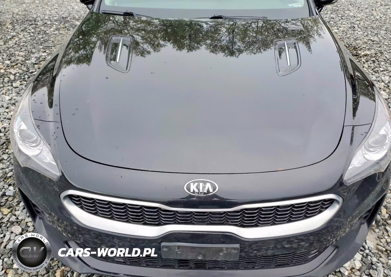 2018 Kia Stinger Base VIN:KNAE15LA8J6022344 - 11