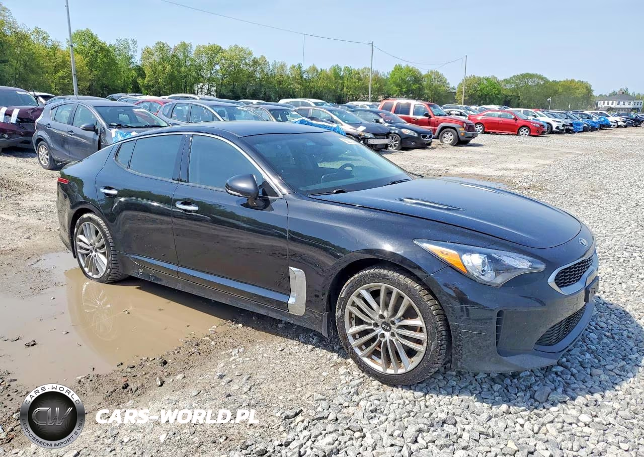 2018 Kia Stinger Base VIN:KNAE15LA8J6022344 - 4