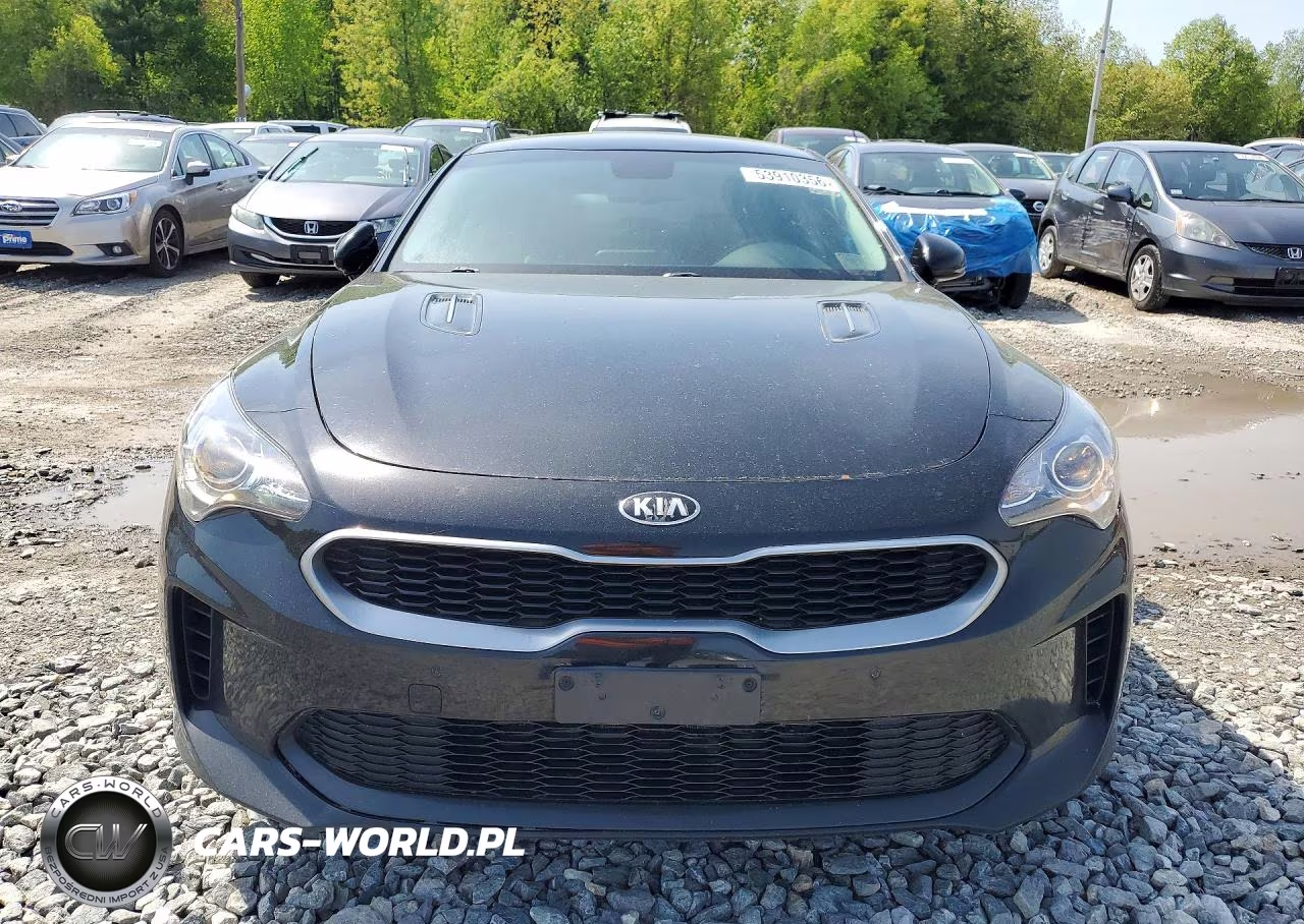 2018 Kia Stinger Base VIN:KNAE15LA8J6022344 - 5
