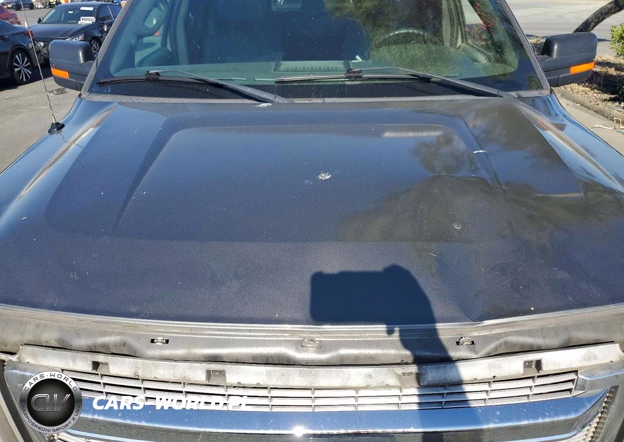 2013 Ford F150 Supercrew VIN:1FTFW1CT2DKG11372 - 11