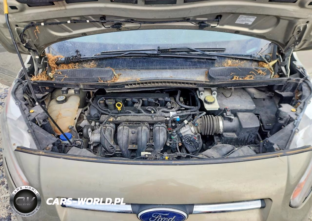 2014 Ford Transit Connect VIN:NM0GE9G7XE1147769 - 12
