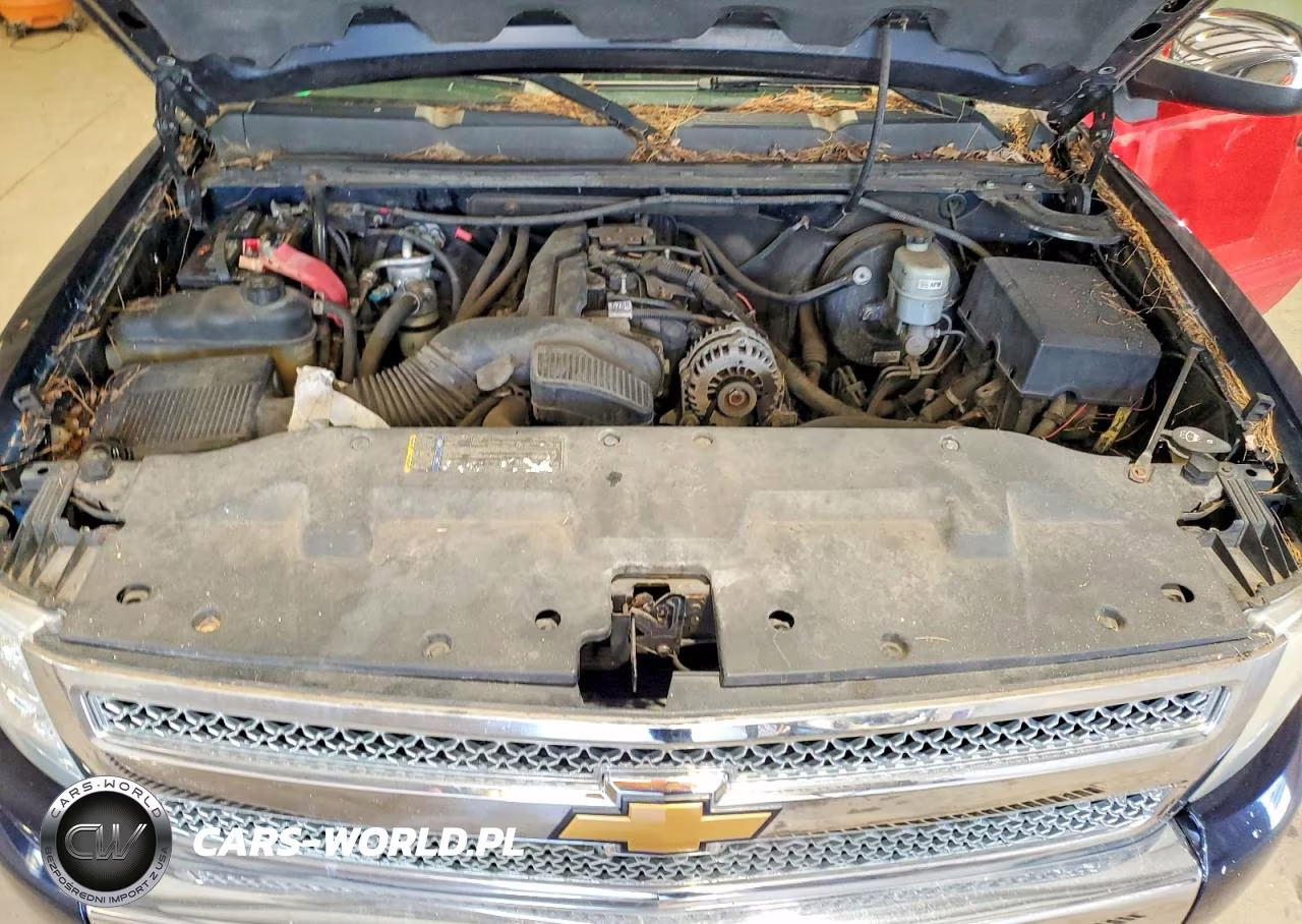 2009 Chevrolet Silverado K1500 Lt VIN:1GCEK29059E162351 - 11