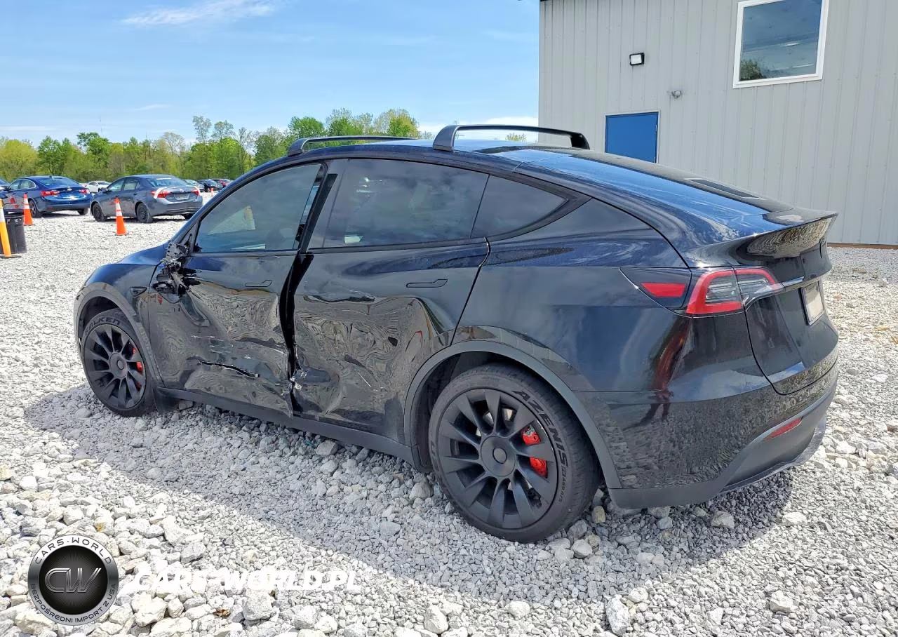 2023 Tesla Model Y VIN:7SAYGDEE6PA182115 - 2
