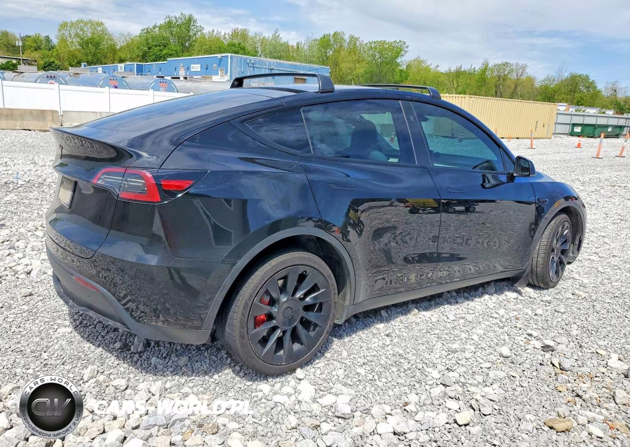 2023 Tesla Model Y VIN:7SAYGDEE6PA182115 - 3