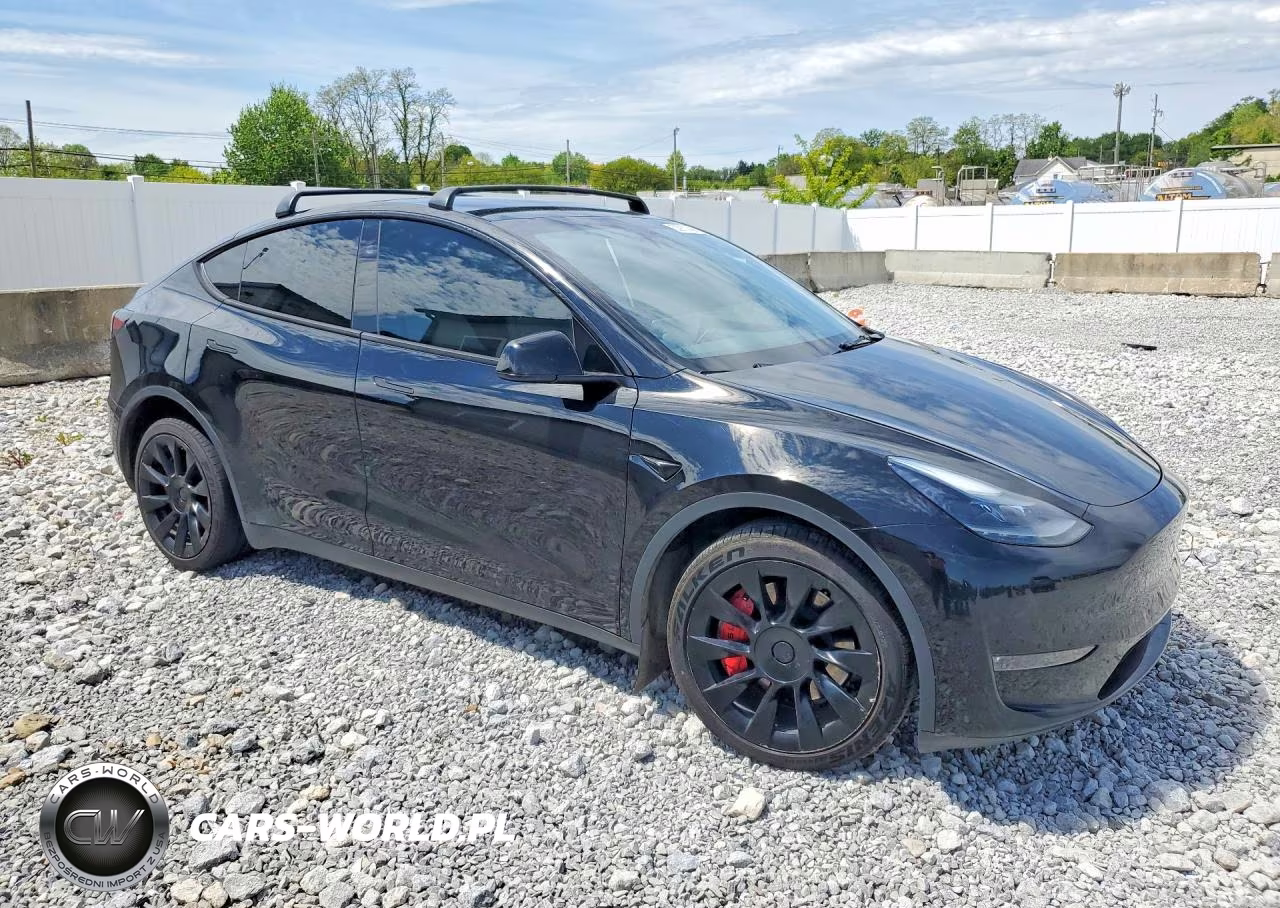 2023 Tesla Model Y VIN:7SAYGDEE6PA182115 - 4