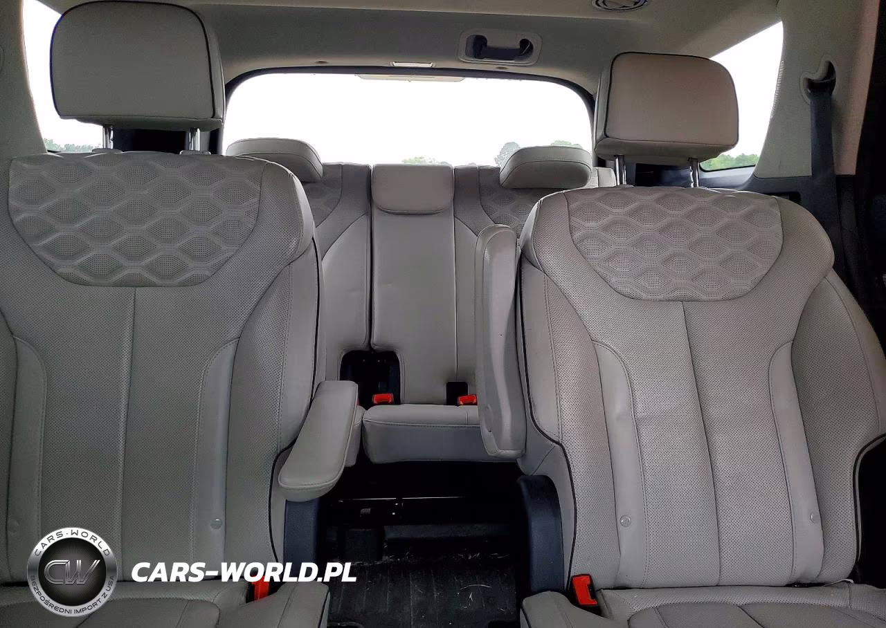 2021 Hyundai Palisade Limited VIN:KM8R5DHE6MU307649 - 10