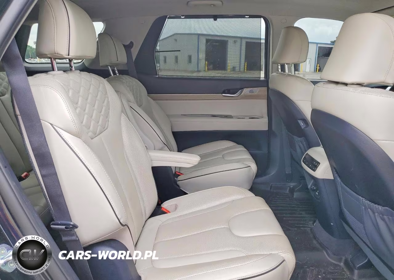 2021 Hyundai Palisade Limited VIN:KM8R5DHE6MU307649 - 11