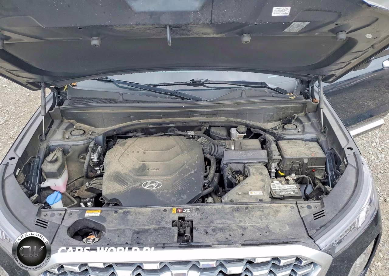 2021 Hyundai Palisade Limited VIN:KM8R5DHE6MU307649 - 12