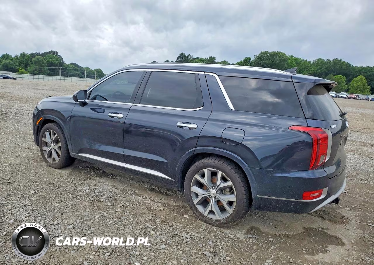 2021 Hyundai Palisade Limited VIN:KM8R5DHE6MU307649 - 2