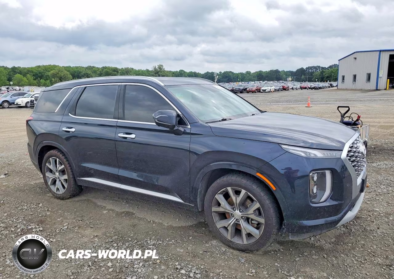 2021 Hyundai Palisade Limited VIN:KM8R5DHE6MU307649 - 4
