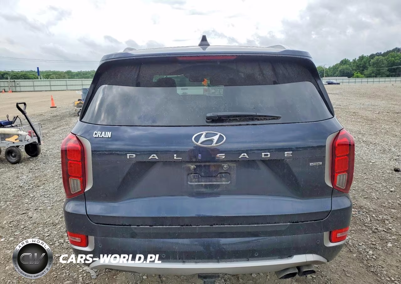 2021 Hyundai Palisade Limited VIN:KM8R5DHE6MU307649 - 6