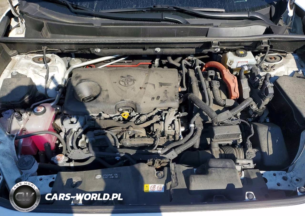 2019 Toyota Rav4 Hybrid Xle VIN:JTMRWRFV2KD036524 - 12