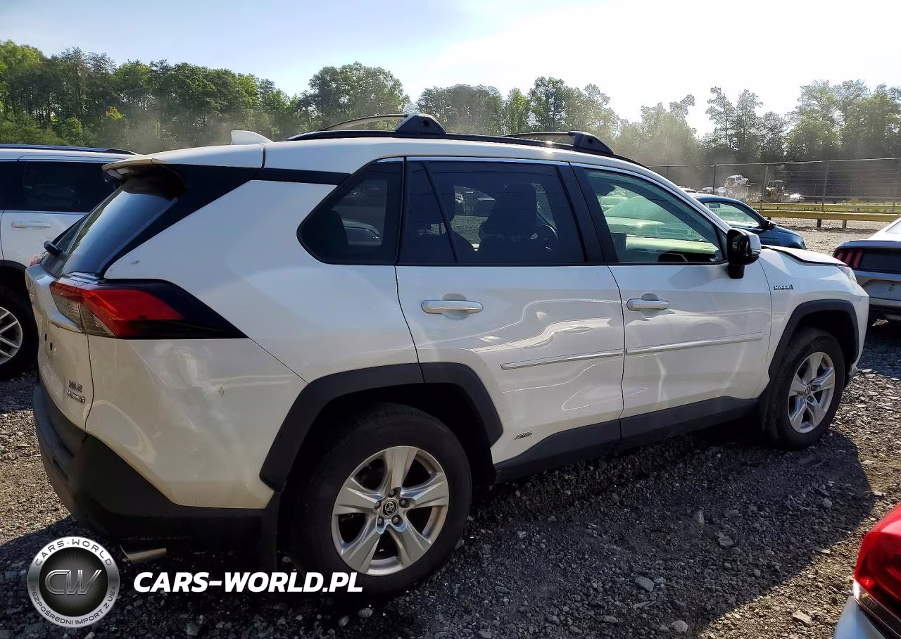 2019 Toyota Rav4 Hybrid Xle VIN:JTMRWRFV2KD036524 - 3